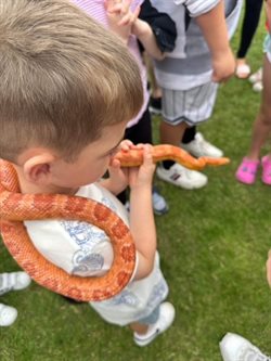 Flying Start Family Fun Day - Reptile stand